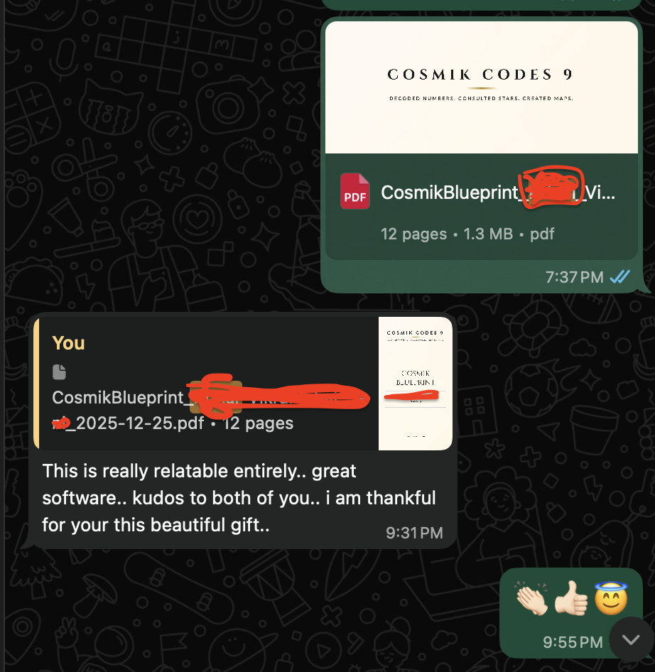 WhatsApp testimonial from Professional